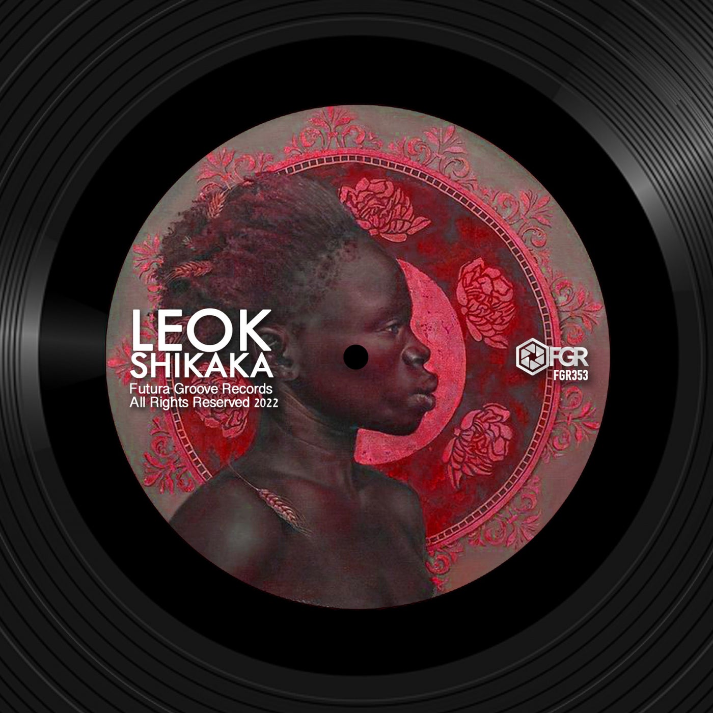 LeoK - Shikaka [FGR353]